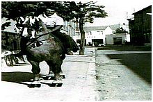 Le corso de la St Eloi  Trets