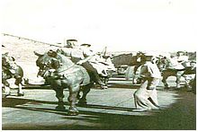 Le corso de la St Eloi  Trets