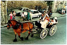 Le corso de la St Eloi  Trets