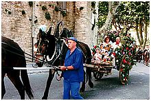 Le corso de la St Eloi  Trets