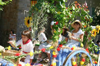 Le corso