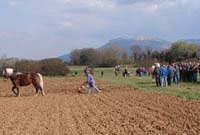 Reportage