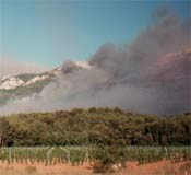 Dossier spécial sur les Incendies de 1989