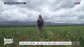 Image reportage