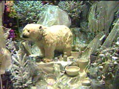 Vitrine du fleuriste Andr Gerra ( 2000 )