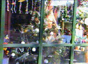 Vitrine du fleuriste : Matif Fleurs