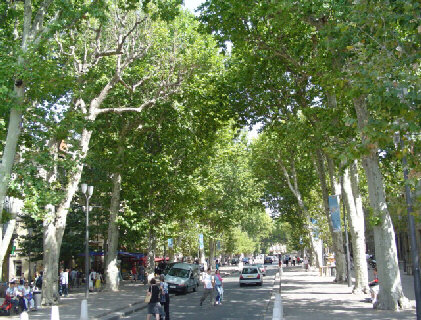 Aix en Provence : Le cours Mirabeau
