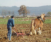 Concours de labour et de maniement de charrettes
