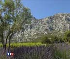 REPORTAGE JT TF1