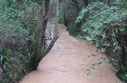 4 novembre 2008
